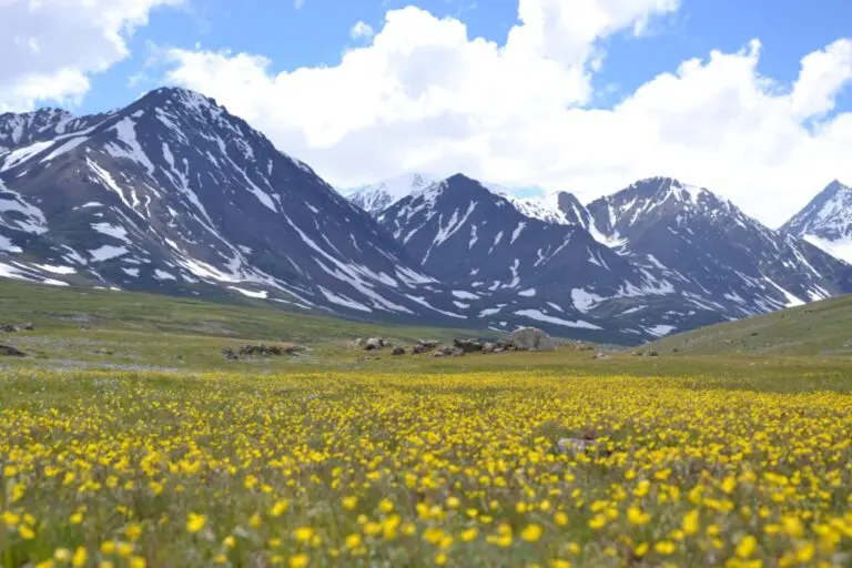 Altai Mountains tours
