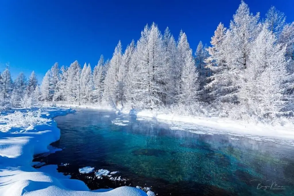 Winter tours in Mongolia